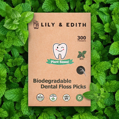 dental floss picks reusable